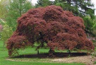Holmdel Arboretum (David C. Shaw Arboretum), from visitmonmouth.com