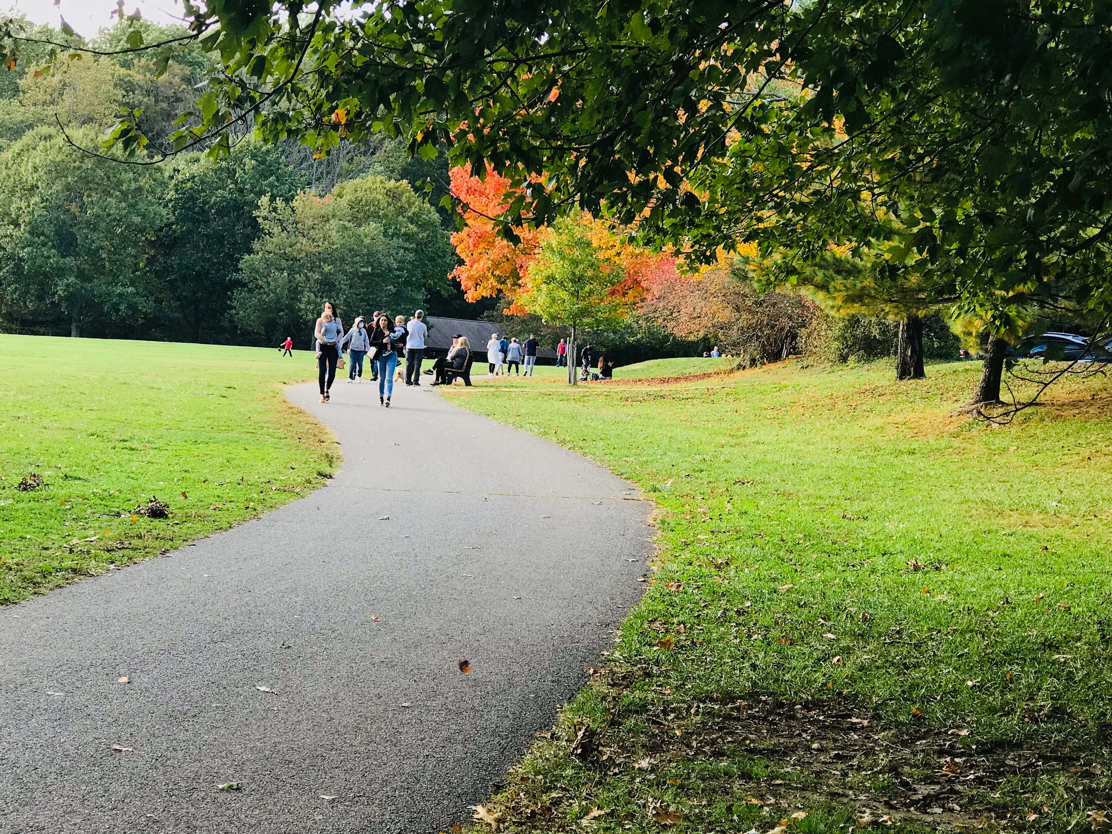 Walkers on a paved path curving through a lawn at Holmdel Park, with maples turning red and orange.