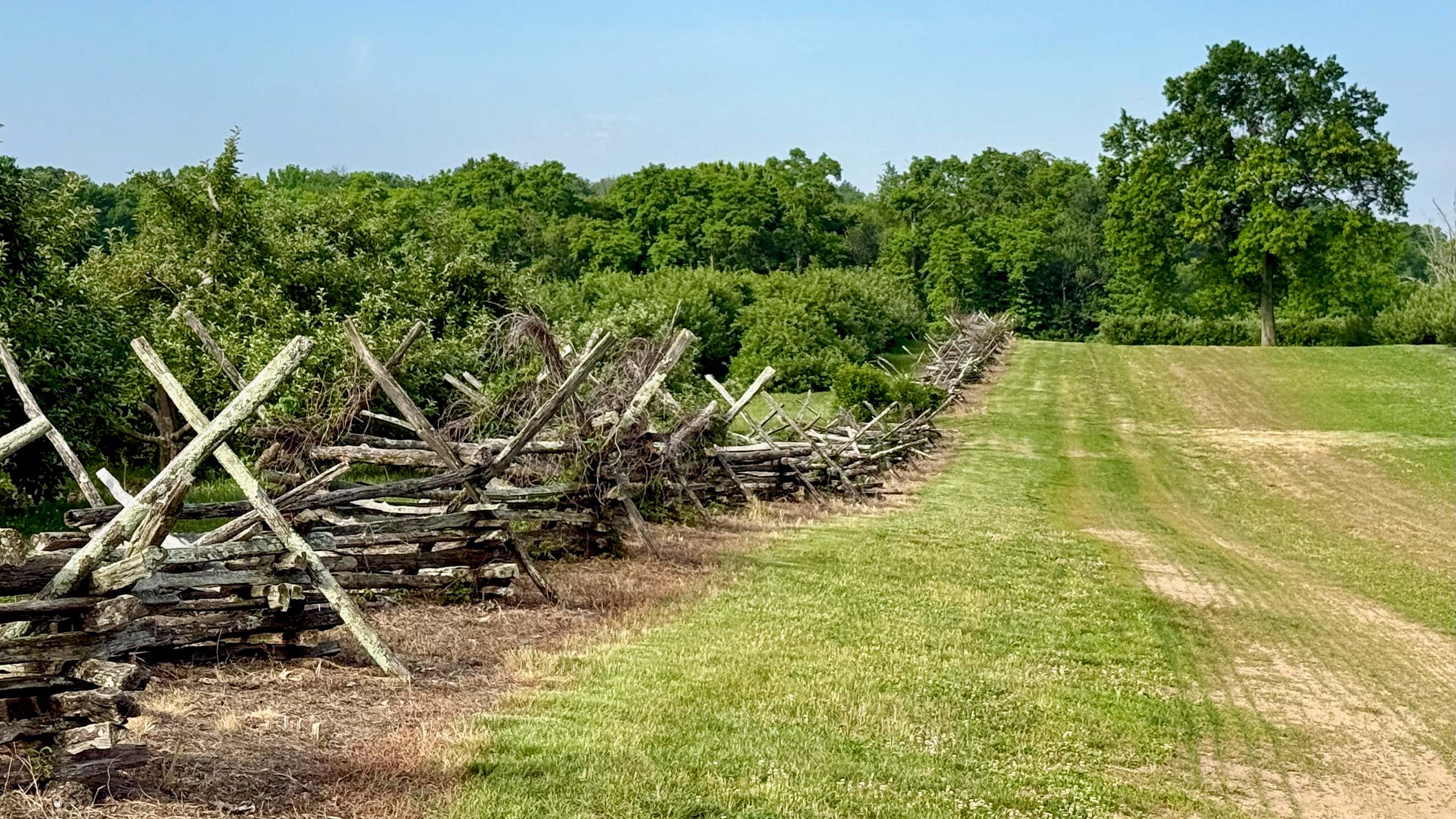 A split-rail fence beside a mown path at Monmouth Battlefield State Park, with woods behind.