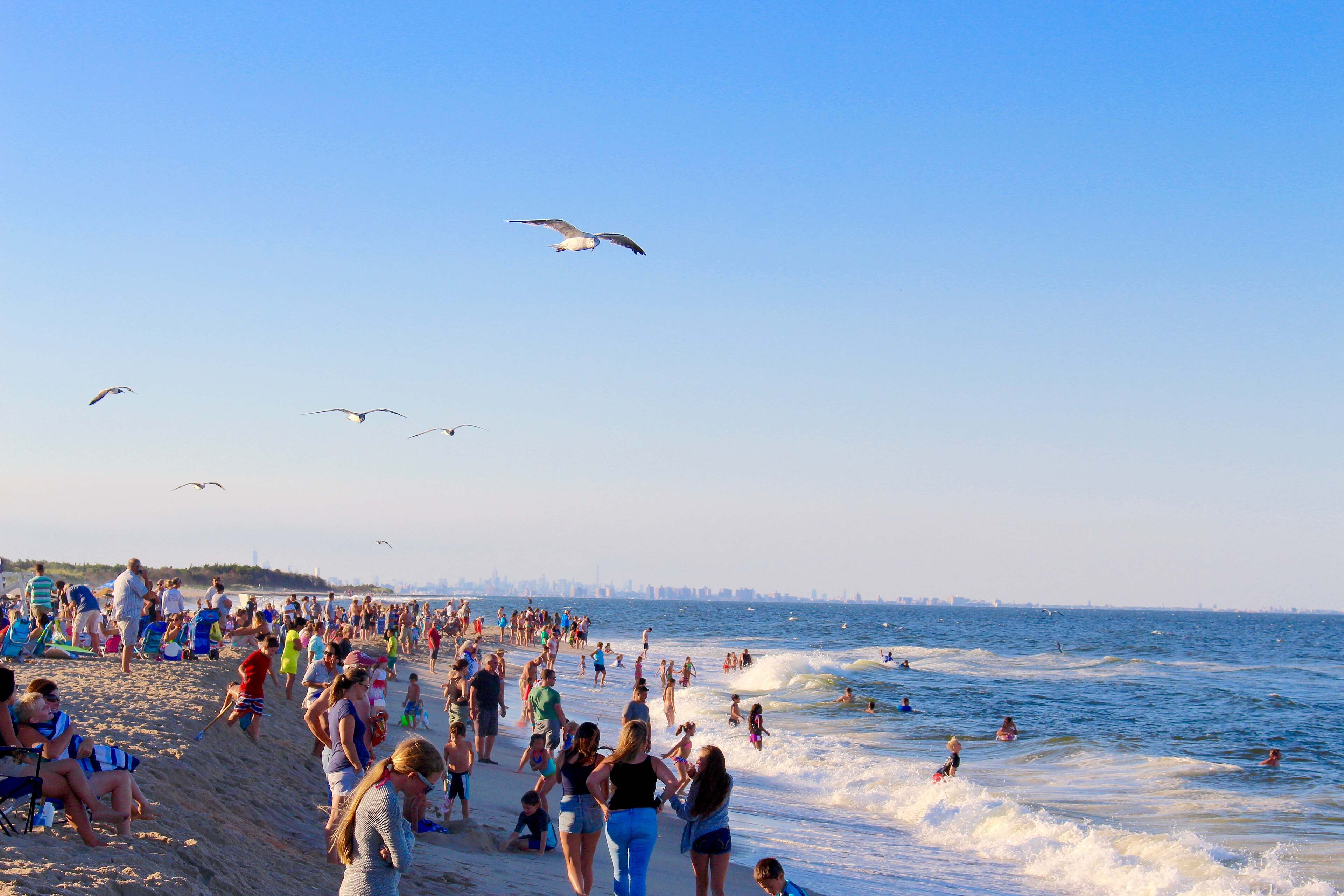 Beachgoers wading and sunbathing on a Sandy Hook beach as gulls fly overhead, with a faint skyline on the horizon.
