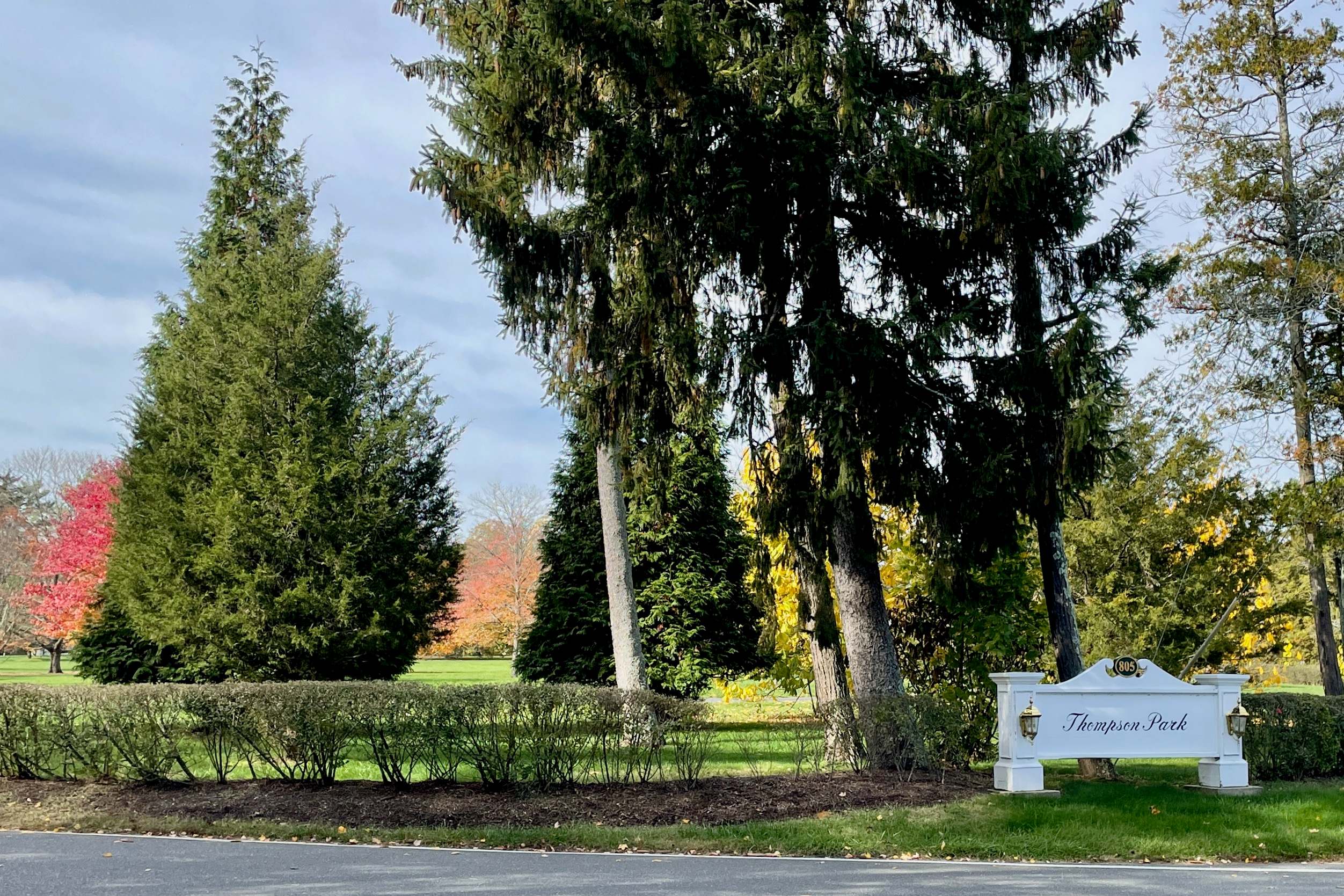 Evergreens and autumn color beside the Thompson Park entrance sign in Lincroft.